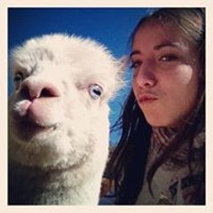 dou7ariane