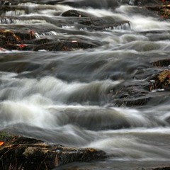 Rustling Brook