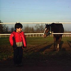 Kaan