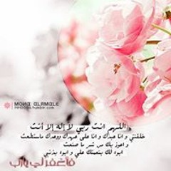 دين دليفرى 6