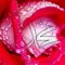 user235511551