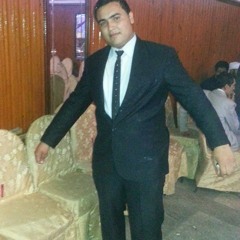Tarek ElMehy