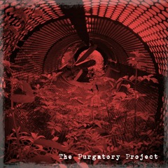 The Purgatory Project