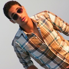Ahmed Q. Mostafa