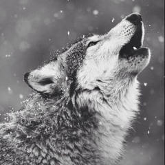 Theodorus Batara Dewa