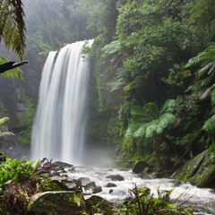 Kaizapopatamus