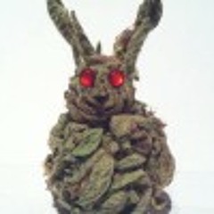 2stoned2care