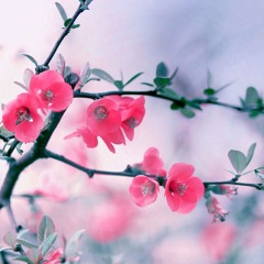 LunaKozoku_Music