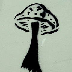 Home At Last steely cover