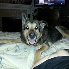 Dana Robb Walters Kerr