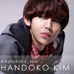 Handoko kim