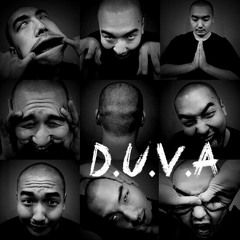 DuVa-2014