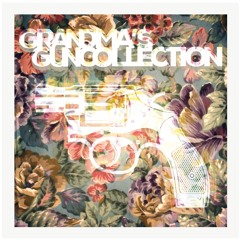 Grandma's Gun Collection