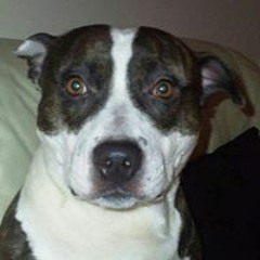 Caroline Fae Glasgow