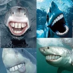 Morgan's playlist gift