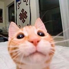 ŴaŁéeď Âhméd
