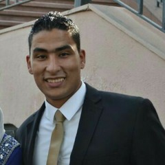 hamdy nazeer