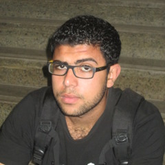 Ali Gamal Elzoghbi