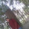 khaled tarek ZlzAl