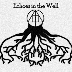Echoes in the Well