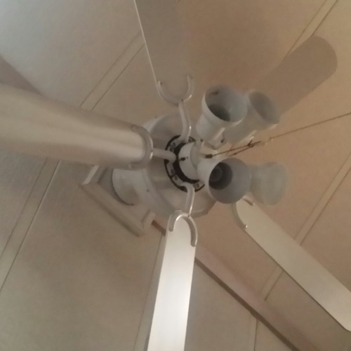 like Dimond in their sky