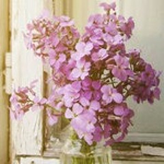 pretty_fafey87