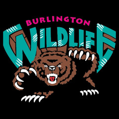 WildLifeVT