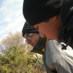 Del Sur A Norte Feat Valdo Jonz 11.19