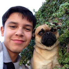 OscarinFly029