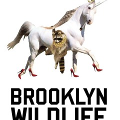 bkwildlife
