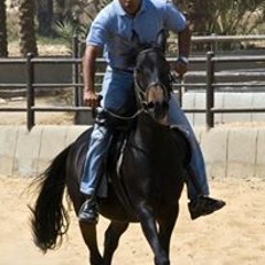 Omar Khaira