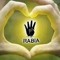 alaa reda mohamed