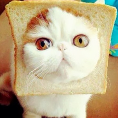 Katherine Auchterlonie