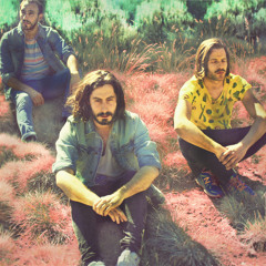 Los Waves