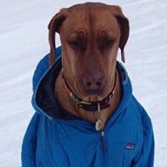 Claudia Cunningham 1