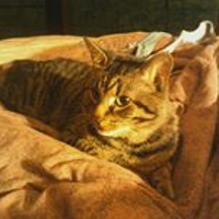 Brittany Ouellette 2