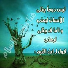 Rateb Alnajjar