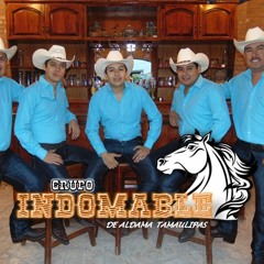 Grupo Indomable De Aldama
