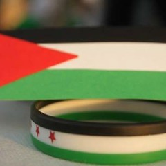 Ossama Hassan 2