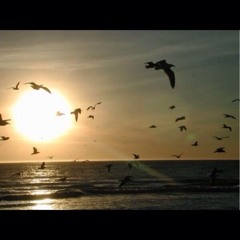 khaled~