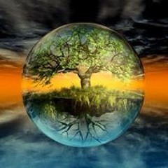 Shelly Dukart Taylor