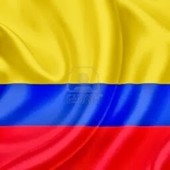 Sebastian Delgado Amaya