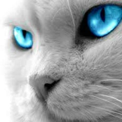 JonettaJeanne TranceCat