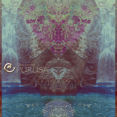 Purusa