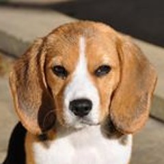 Nicole Louise Morris