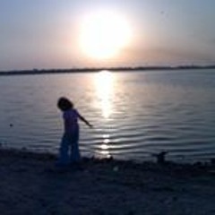 Hamdy Nassar 3