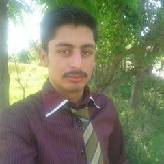 Mohib Sh