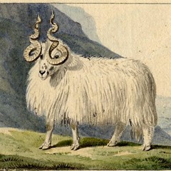 Subconscious Can Can Cult