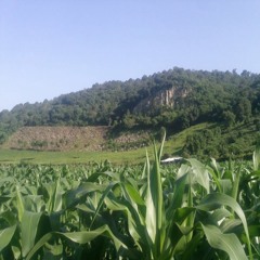 El gran amor de María