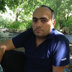 Ali shakarami